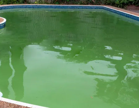 Green Pool Cleaning